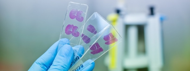 Roles of Cytopathologists